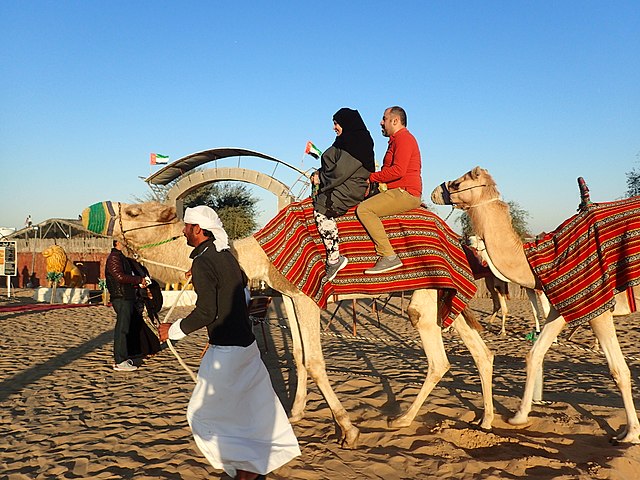 Camel Ride in Desert Safari