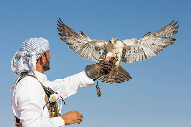 Picture With Falcon | Desert Safari | Falcon